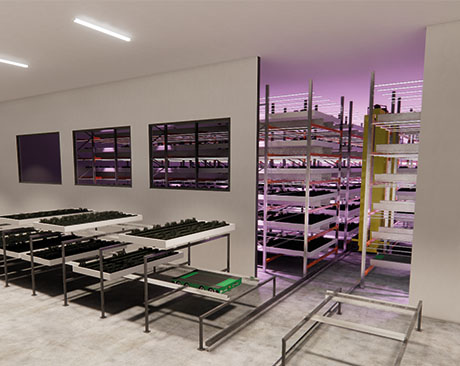 Planting area in a vertical farm